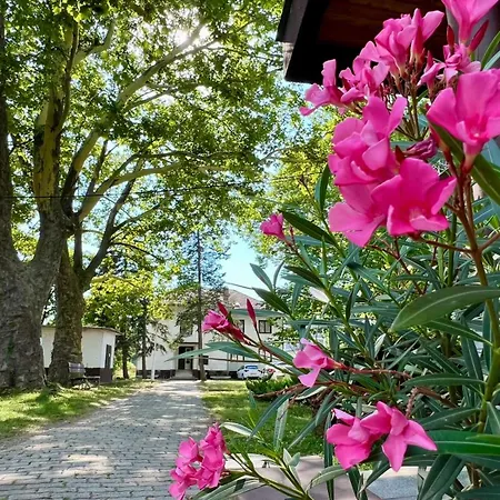 Siraly Balatonlelle